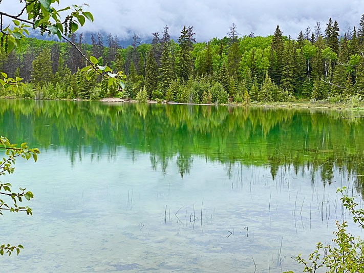 Jasper visual data 6